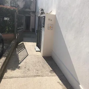 Papere E Tulipani Vicenza